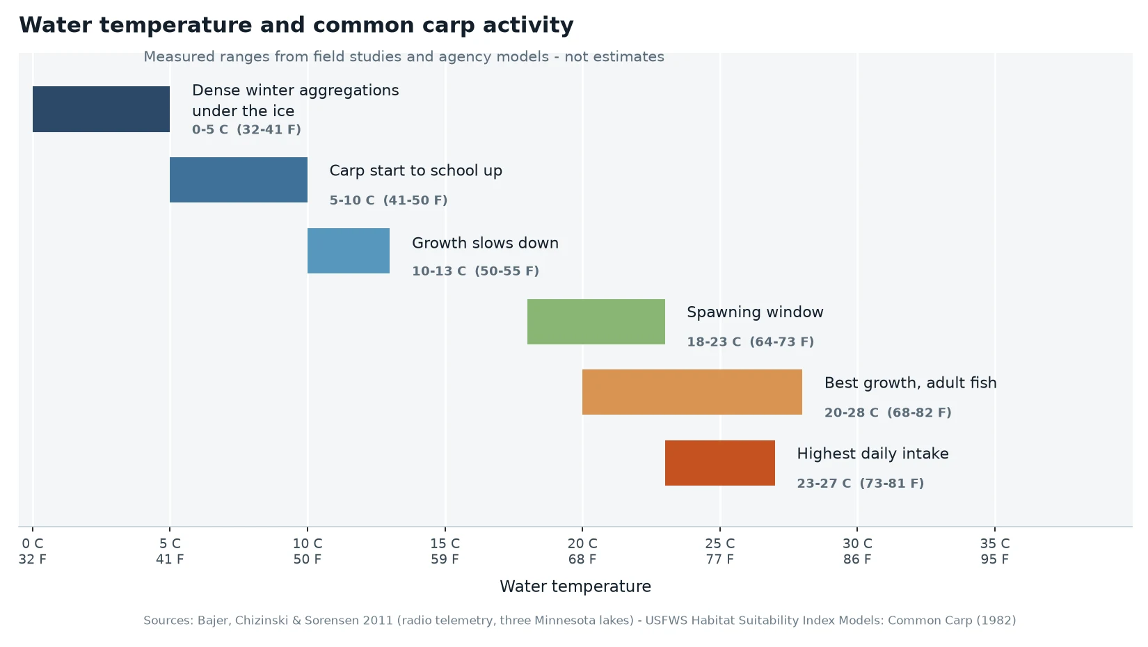 Chart showing common carp activity across water temperature ranges, from winter aggregations below 41 F to peak feeding at 73 to 81 F